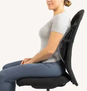 Swedish Posture I BackRest Lumbar Support
