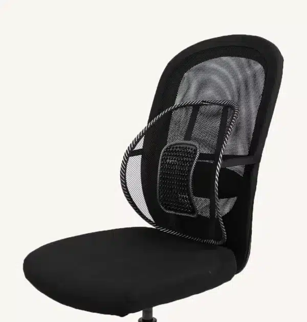 Swedish Posture BackRest Lumbar Support